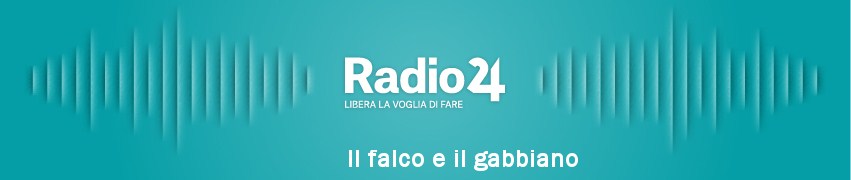 il_falco_e_il_gabbiano_02